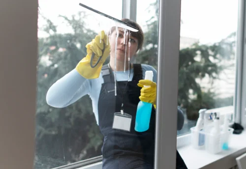 Nettoyage de vitres intérieures et extérieures au Subdray